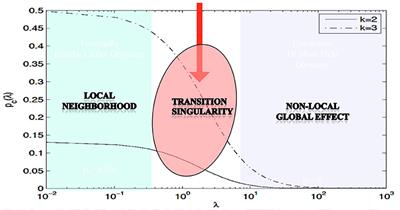 Evolutionary Advantages of Stimulus-Driven EEG Phase Transitions in the Upper Cortical Layers